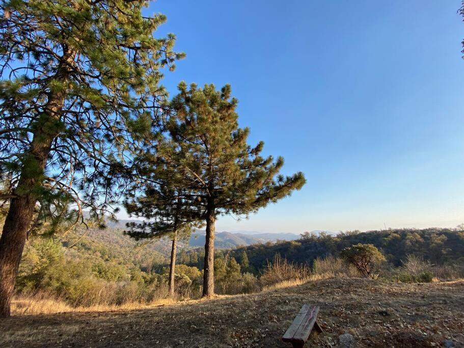 Modern Airstream With Amazing View - 10 To 15 Minutes From Kings Canyon National Park Dunlap エクステリア 写真